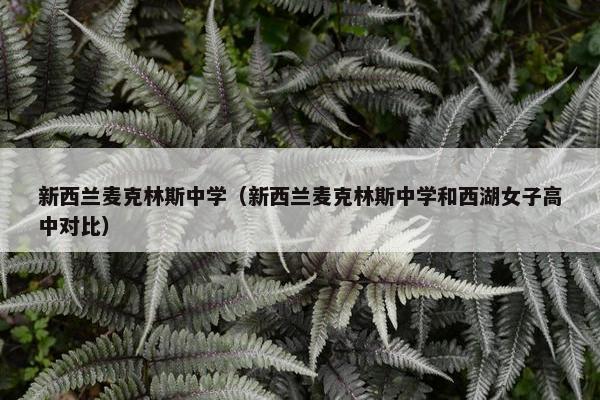 新西兰麦克林斯中学（新西兰麦克林斯中学和西湖女子高中对比）