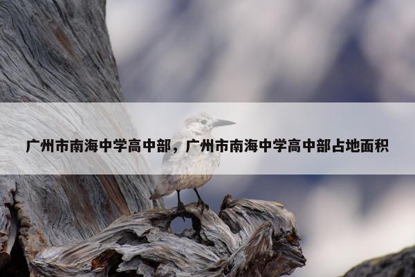 广州市南海中学高中部，广州市南海中学高中部占地面积