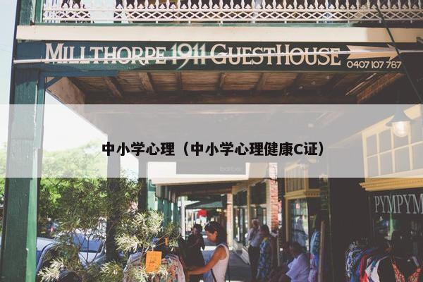 中小学心理（中小学心理健康C证）