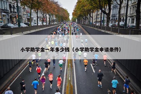 小学助学金一年多少钱（小学助学金申请条件）