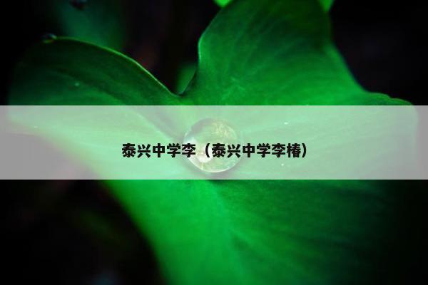 泰兴中学李（泰兴中学李椿）