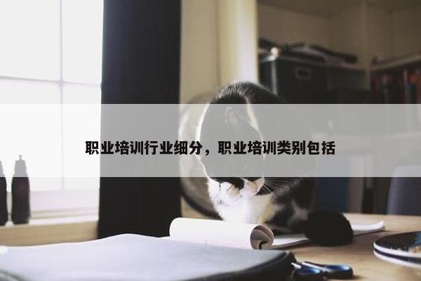 职业培训行业细分，职业培训类别包括