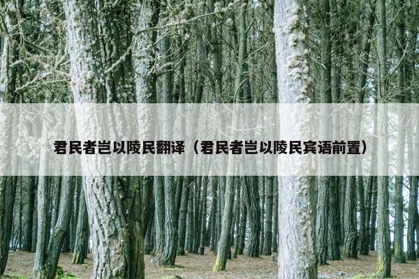 君民者岂以陵民翻译（君民者岂以陵民宾语前置）