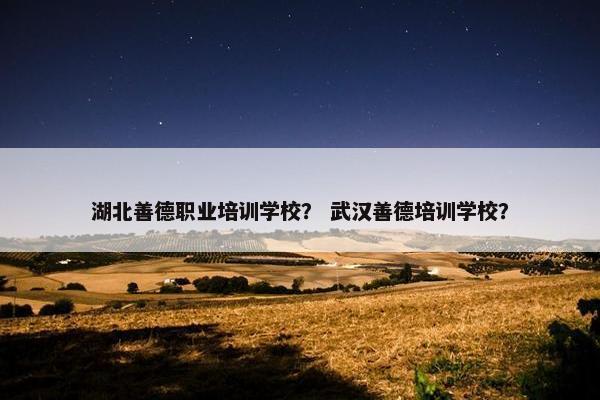湖北善德职业培训学校？ 武汉善德培训学校？
