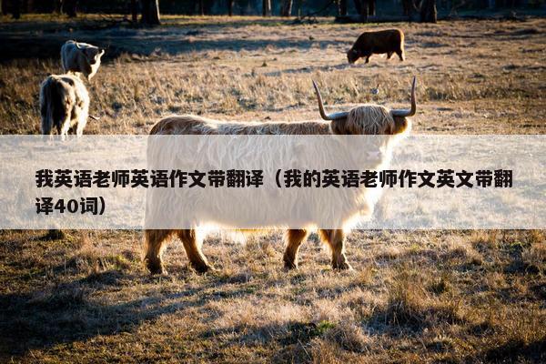 我英语老师英语作文带翻译（我的英语老师作文英文带翻译40词）