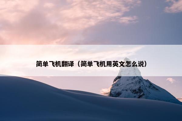 简单飞机翻译（简单飞机用英文怎么说）