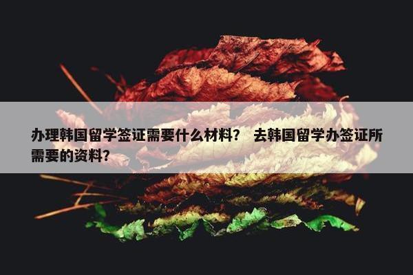 办理韩国留学签证需要什么材料？ 去韩国留学办签证所需要的资料？