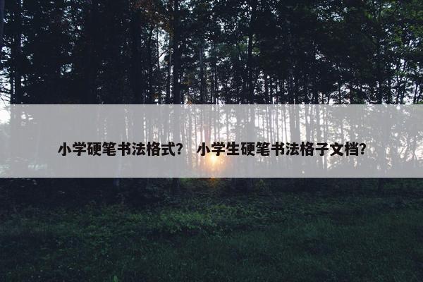 小学硬笔书法格式？ 小学生硬笔书法格子文档？