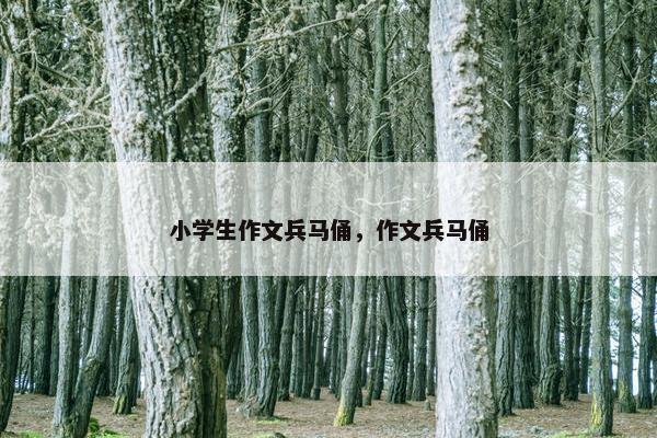 小学生作文兵马俑，作文兵马俑