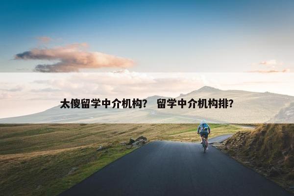 太傻留学中介机构？ 留学中介机构排？