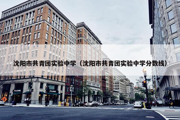 沈阳市共青团实验中学（沈阳市共青团实验中学分数线）