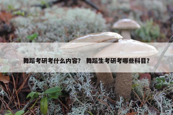 舞蹈考研考什么内容？ 舞蹈生考研考哪些科目？