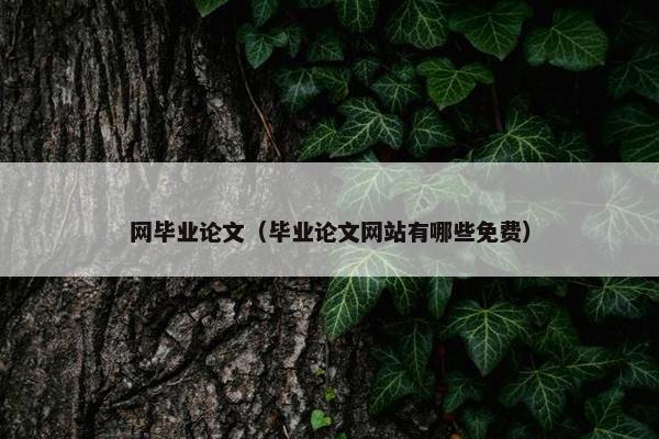 网毕业论文（毕业论文网站有哪些免费）