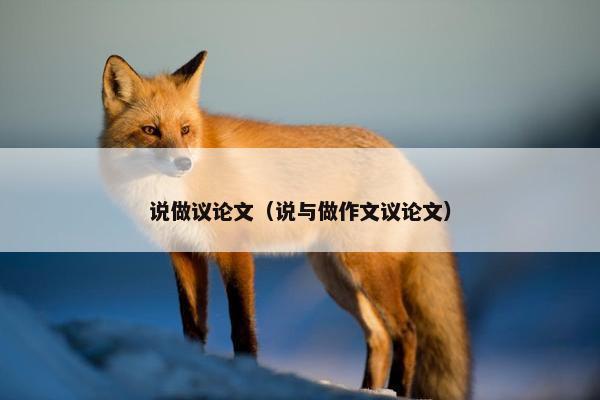 说做议论文（说与做作文议论文）