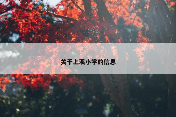 关于上溪小学的信息
