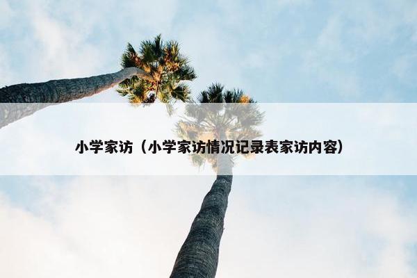 小学家访（小学家访情况记录表家访内容）