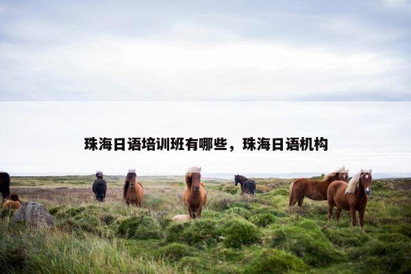 珠海日语培训班有哪些，珠海日语机构