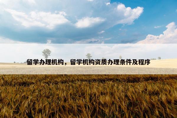 留学办理机构，留学机构资质办理条件及程序