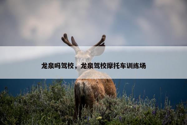龙泉吗驾校，龙泉驾校摩托车训练场