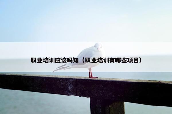 职业培训应该吗知（职业培训有哪些项目）