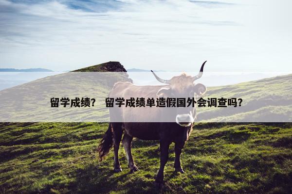 留学成绩？ 留学成绩单造假国外会调查吗？