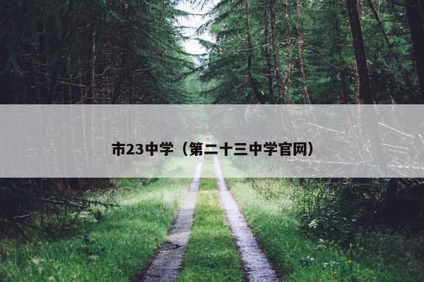 市23中学（第二十三中学官网）