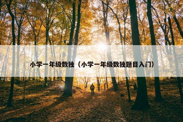 小学一年级数独（小学一年级数独题目入门）