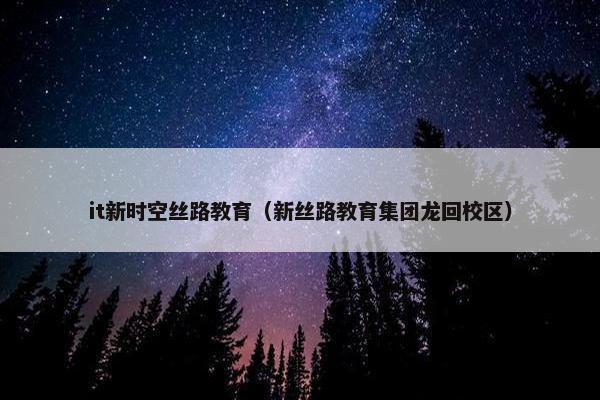 it新时空丝路教育（新丝路教育集团龙回校区）