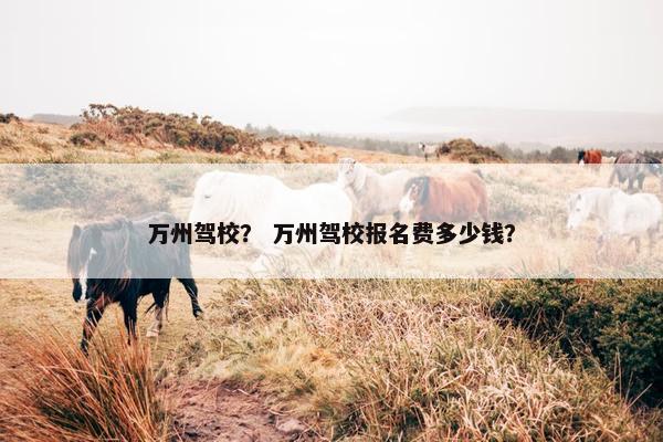 万州驾校？ 万州驾校报名费多少钱？