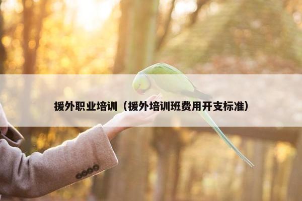 援外职业培训（援外培训班费用开支标准）