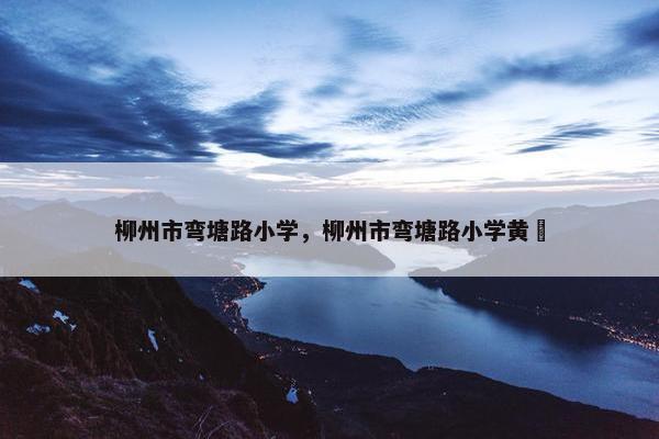 柳州市弯塘路小学，柳州市弯塘路小学黄珺