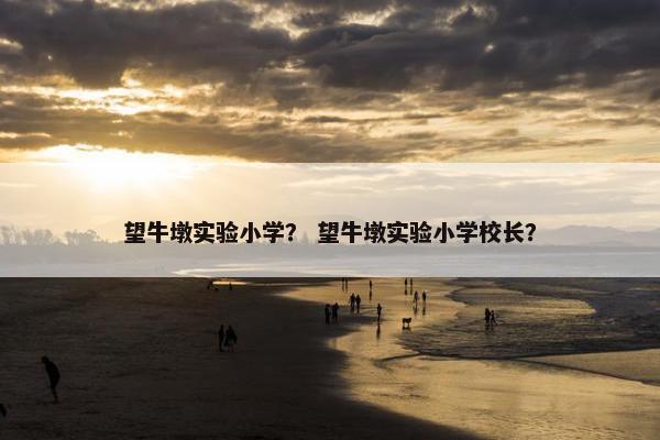 望牛墩实验小学？ 望牛墩实验小学校长？