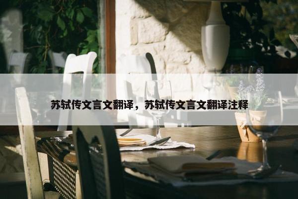 苏轼传文言文翻译，苏轼传文言文翻译注释