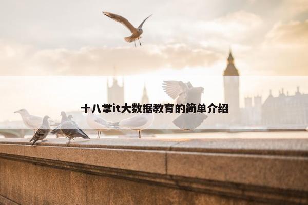 十八掌it大数据教育的简单介绍