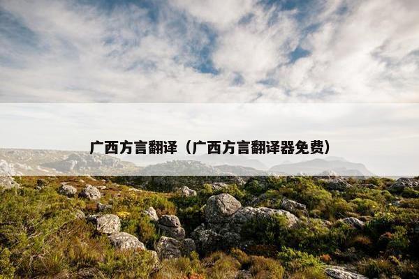 广西方言翻译（广西方言翻译器免费）