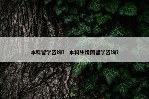 本科留学咨询？ 本科生出国留学咨询？