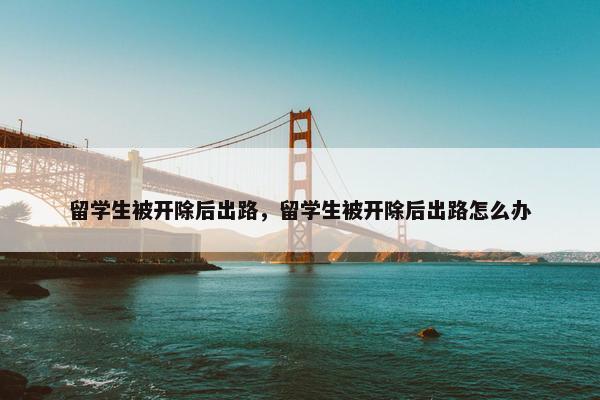留学生被开除后出路，留学生被开除后出路怎么办