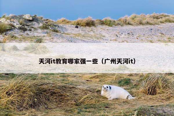 天河it教育哪家强一些（广州天河it）