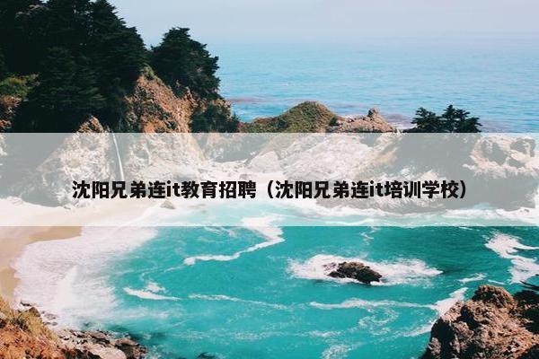 沈阳兄弟连it教育招聘（沈阳兄弟连it培训学校）