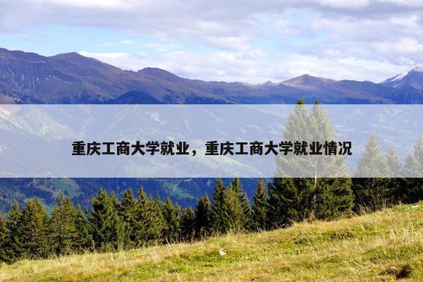 重庆工商大学就业，重庆工商大学就业情况