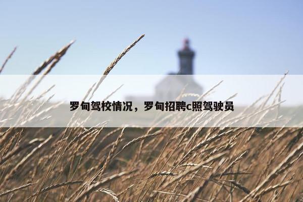 罗甸驾校情况，罗甸招聘c照驾驶员