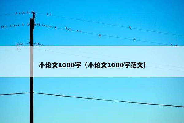 小论文1000字（小论文1000字范文）