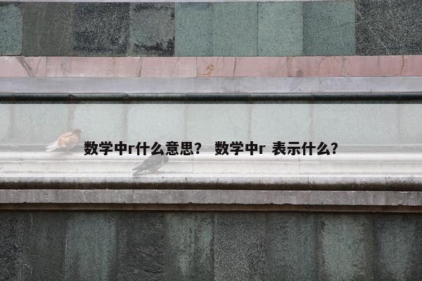 数学中r什么意思？ 数学中r 表示什么？
