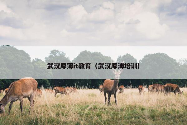 武汉厚薄it教育（武汉厚溥培训）