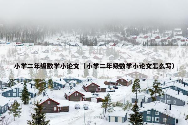小学二年级数学小论文（小学二年级数学小论文怎么写）