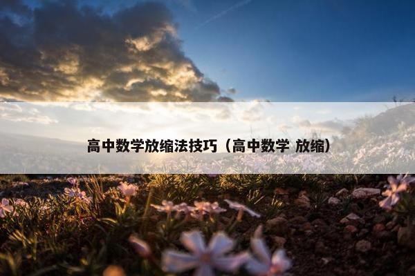 高中数学放缩法技巧（高中数学 放缩）