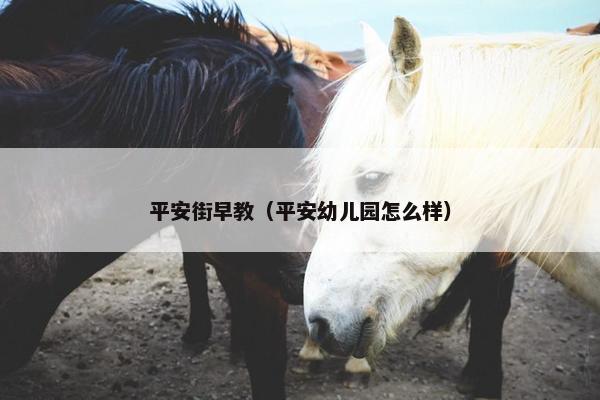 平安街早教（平安幼儿园怎么样）