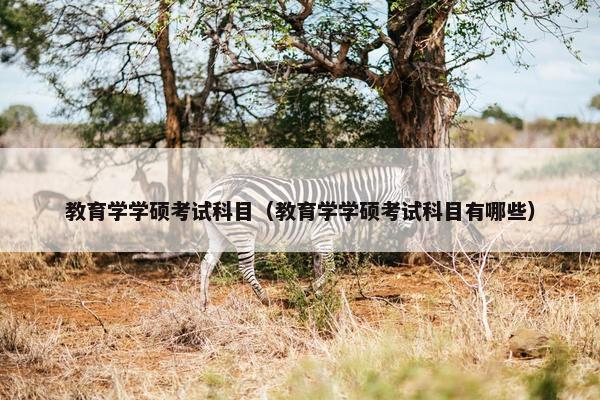 教育学学硕考试科目（教育学学硕考试科目有哪些）