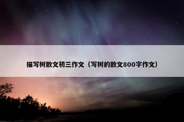 描写树散文初三作文（写树的散文800字作文）