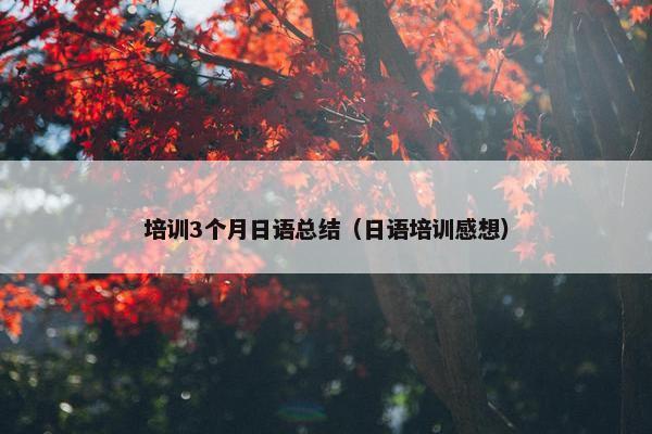 培训3个月日语总结（日语培训感想）